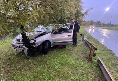 Automóvil chocó a un árbol en el Camino de la Rivera