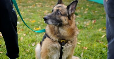 Vacunación antirrábica en Barrio Policial