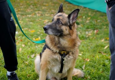 Vacunación antirrábica en Barrio Policial
